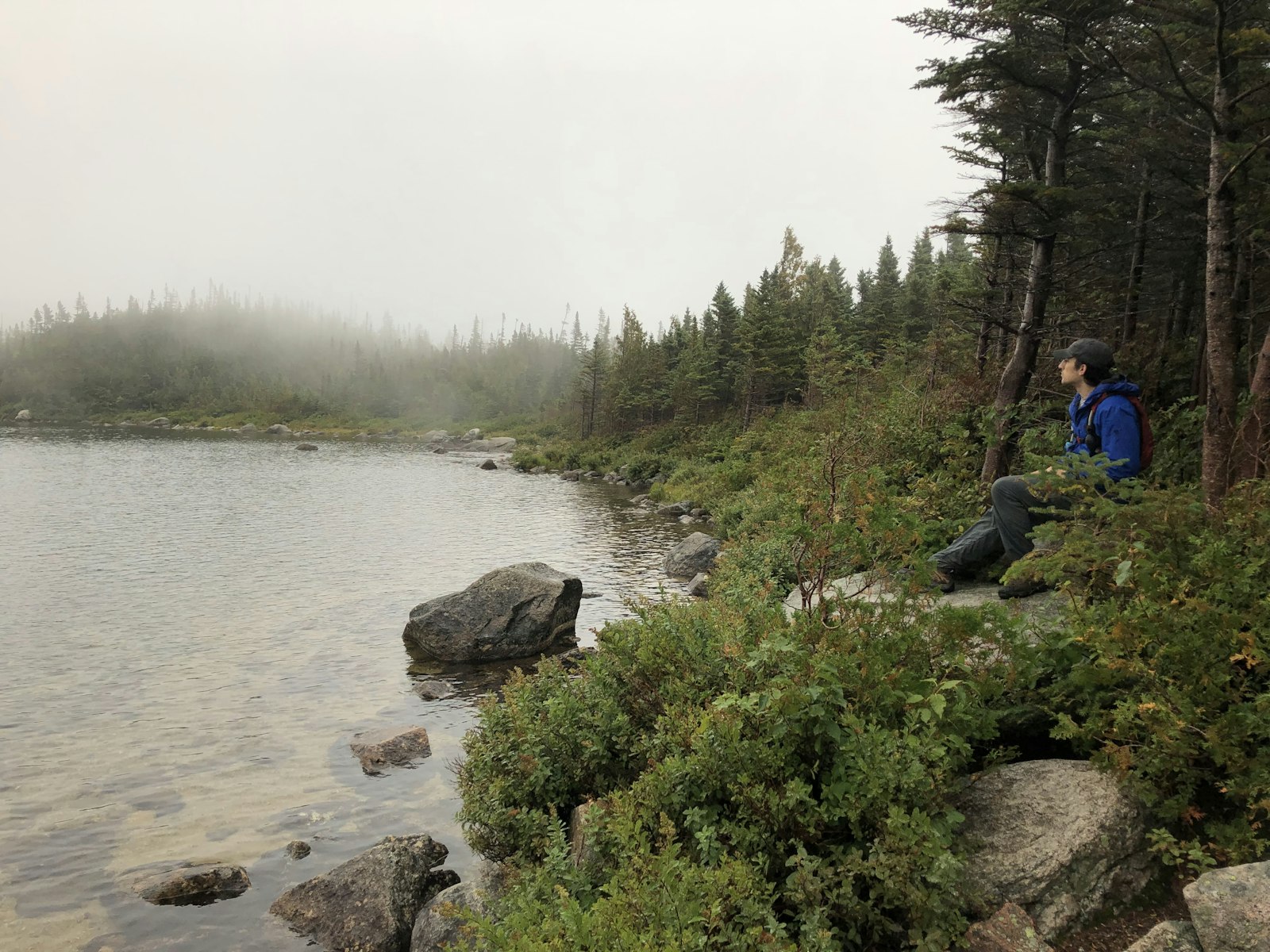 Max overlooking the misty lake